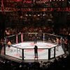 UFC
